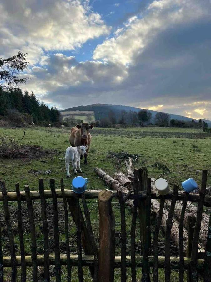 Aughavannagh Yurt Glamping Aughrim Bagian luar foto