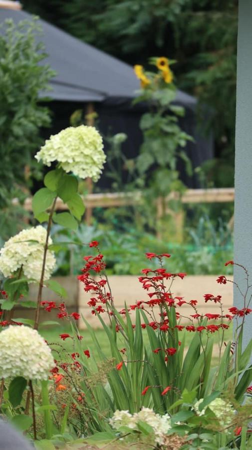 Aughavannagh Yurt Glamping Aughrim Bagian luar foto