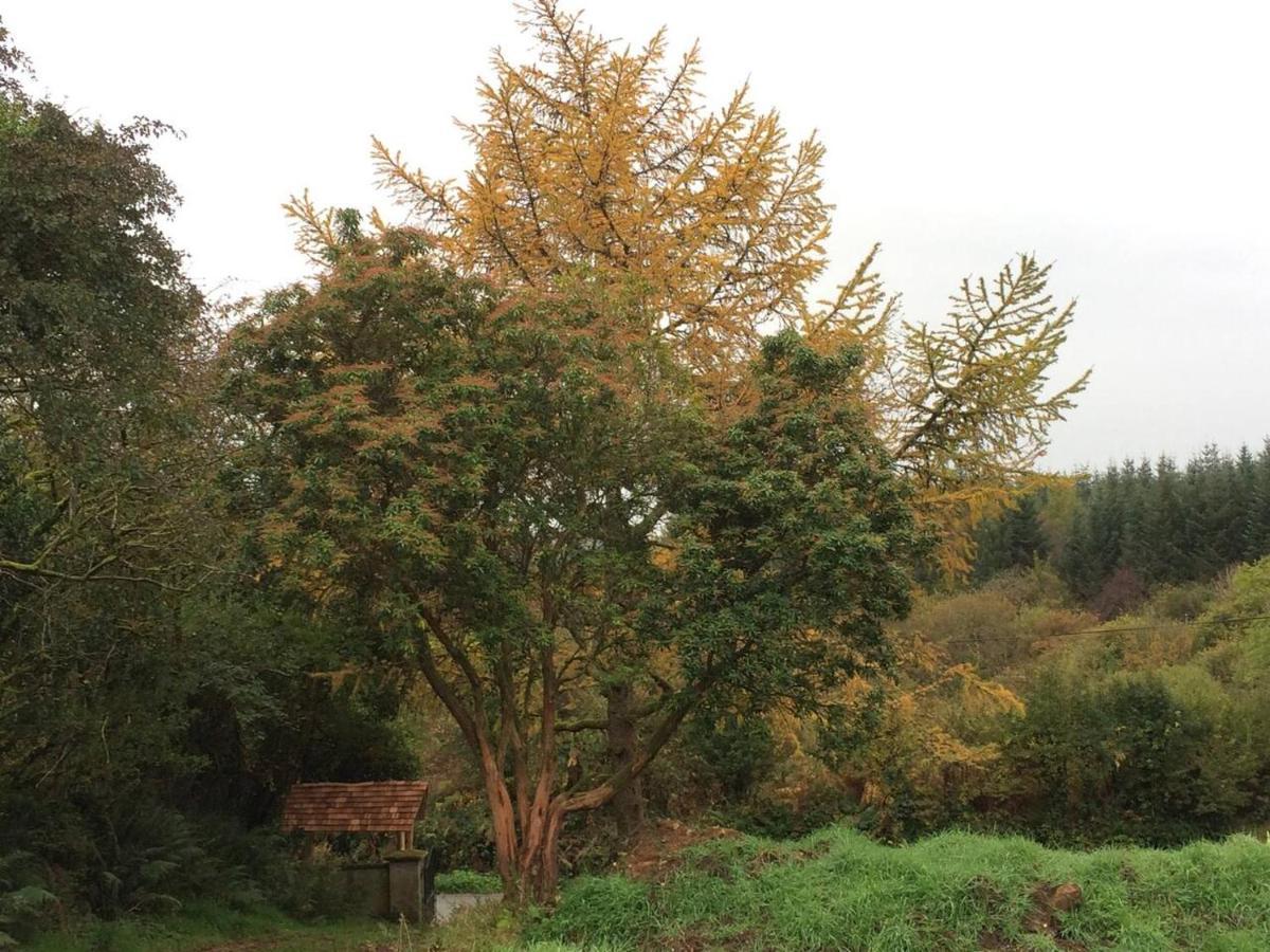 Aughavannagh Yurt Glamping Aughrim Bagian luar foto