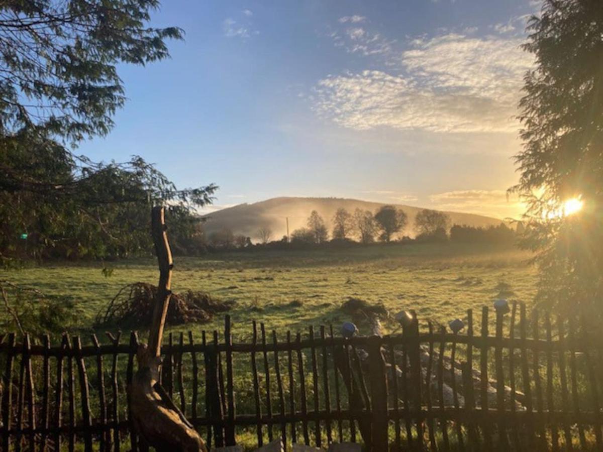 Aughavannagh Yurt Glamping Aughrim Bagian luar foto