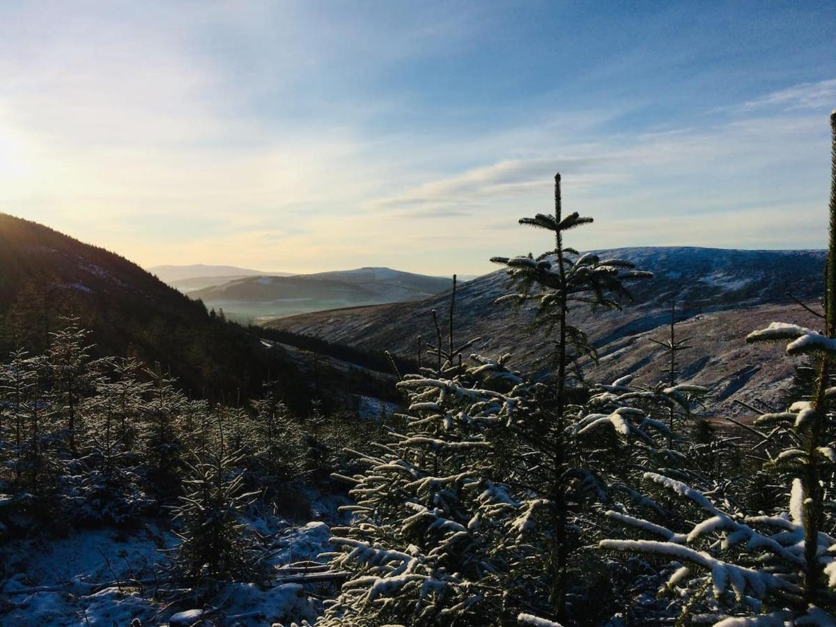 Aughavannagh Yurt Glamping Aughrim Bagian luar foto